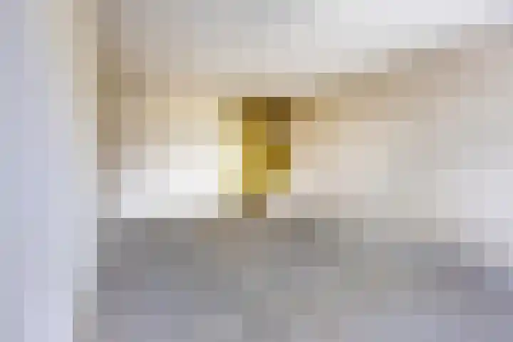 Valkhofplein 88 Arnhem thumbnail 10