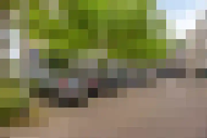 Valkhofplein 88 Arnhem thumbnail 20