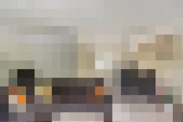 Valkhofstraat 19 Rotterdam thumbnail 9