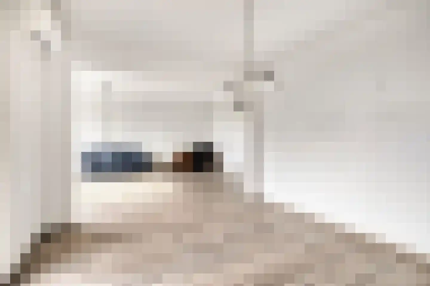 Valkhofstraat 44 B Breda thumbnail 35
