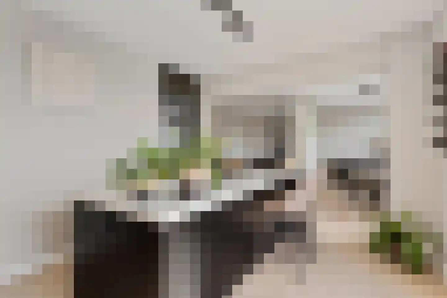 Valkhofstraat 50 D Breda thumbnail 23