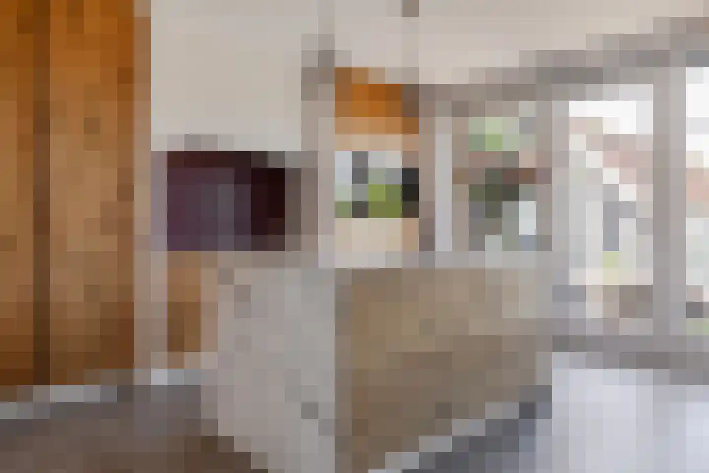 Valkkogerweg 15 Sint Maarten thumbnail 7