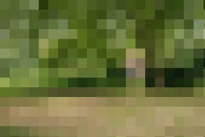 Valkkogerweg 18 Sint Maarten thumbnail 32