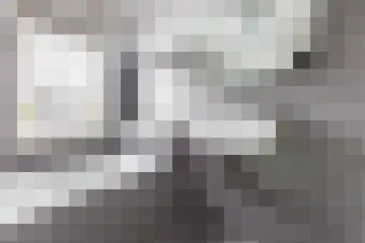 Valkkooglaan 1 Heerhugowaard thumbnail 22