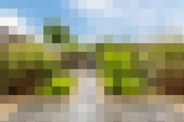 Valkkooglaan 1 Heerhugowaard thumbnail 29