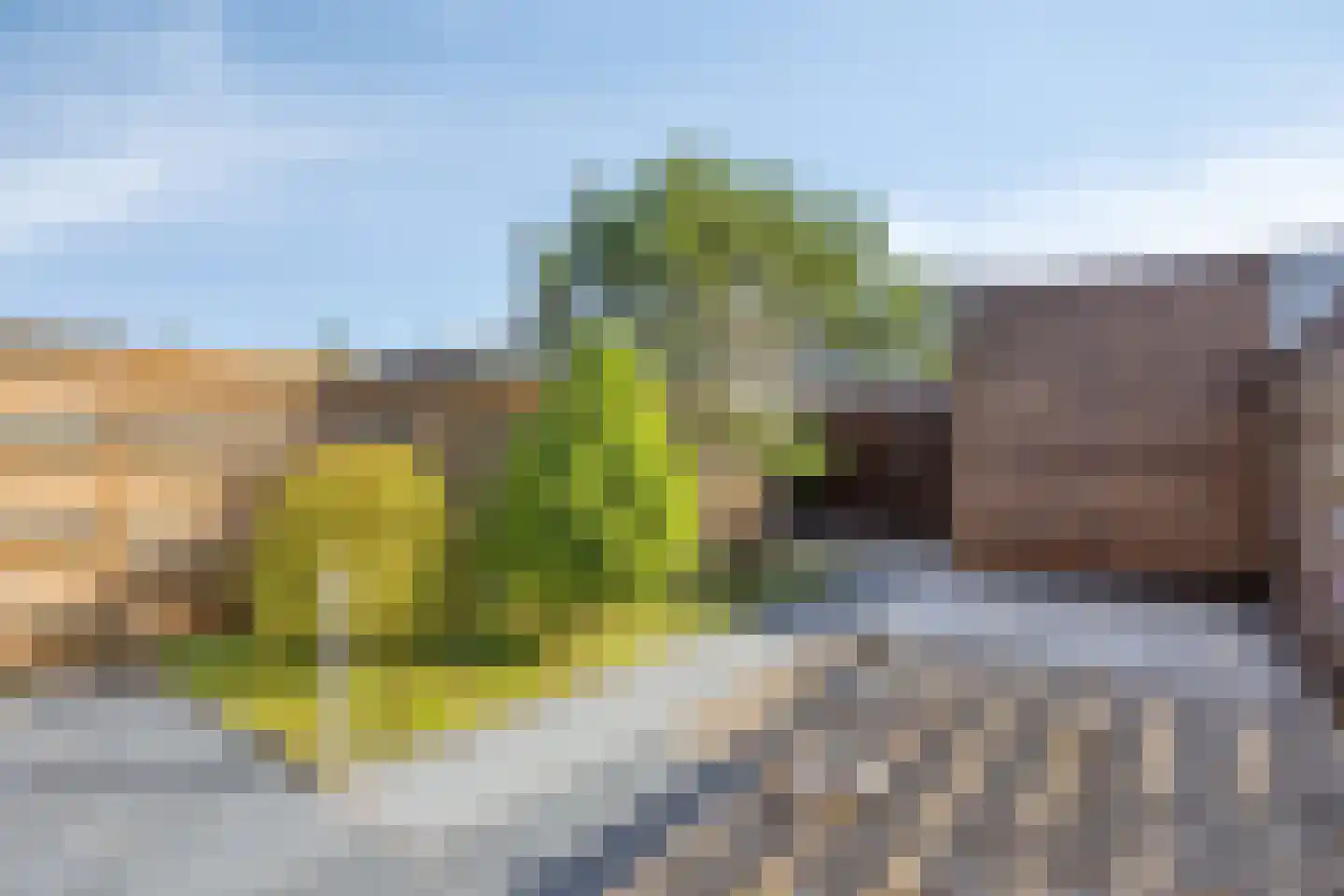 Valkkooglaan 17 Heerhugowaard thumbnail 6