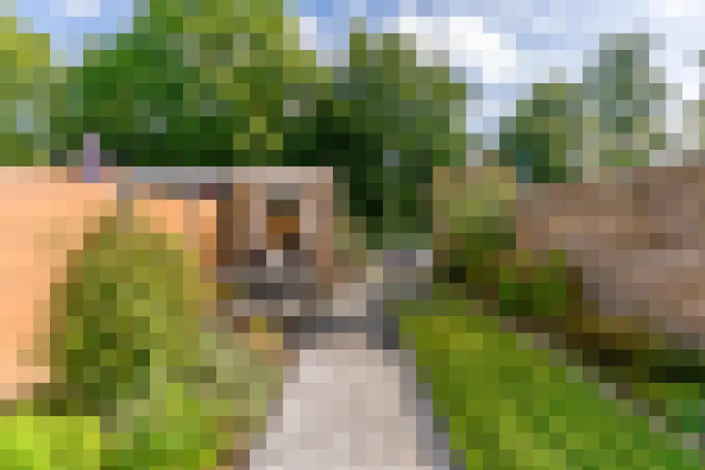Valkkooglaan 59 Heerhugowaard thumbnail 27