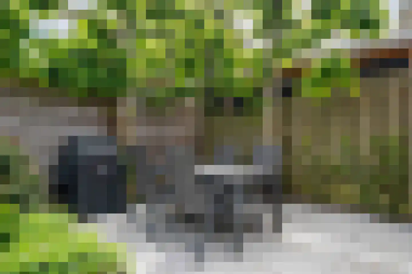 Valkkooglaan 88 Heerhugowaard thumbnail 38