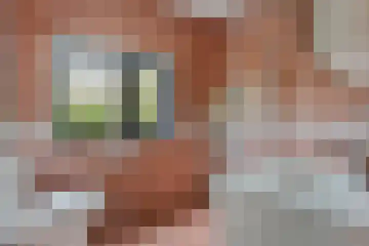 Valkkoogstraat 6 Amsterdam thumbnail 24