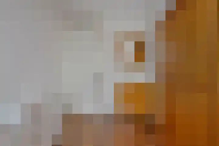 Valkkoogstraat 6 Amsterdam thumbnail 33