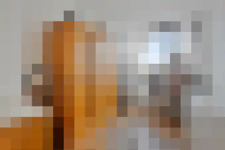 Valkkoogstraat 6 Amsterdam thumbnail 34