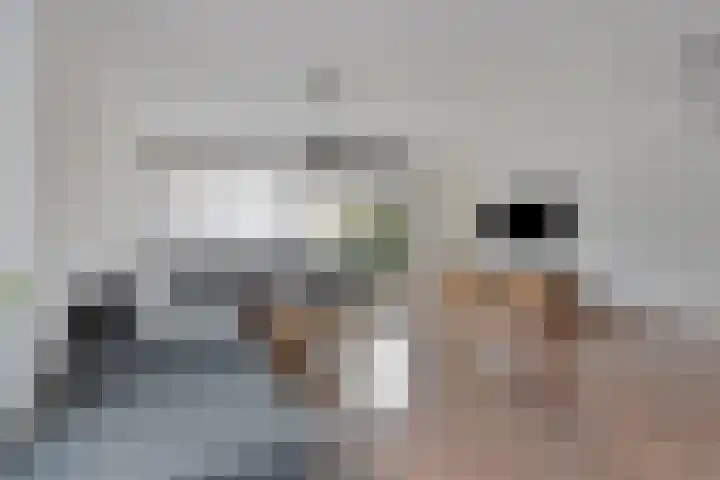 Valkkoogstraat 6 Amsterdam thumbnail 5