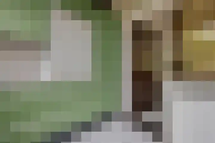 Valklaan 32 Maartensdijk thumbnail 14
