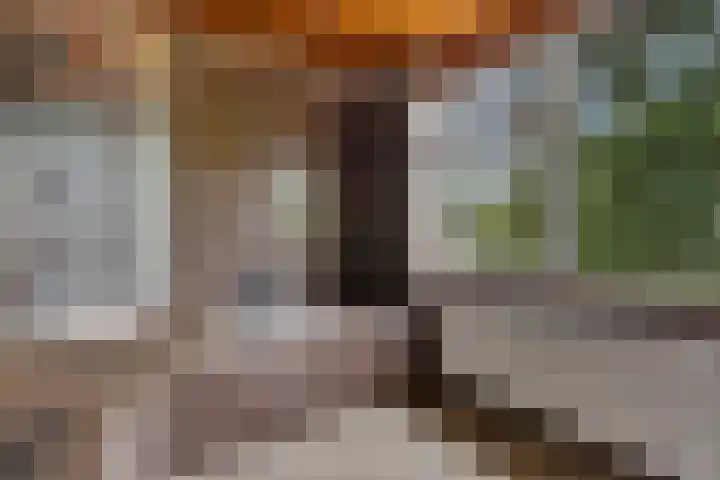 Valklaan 32 Maartensdijk thumbnail 19