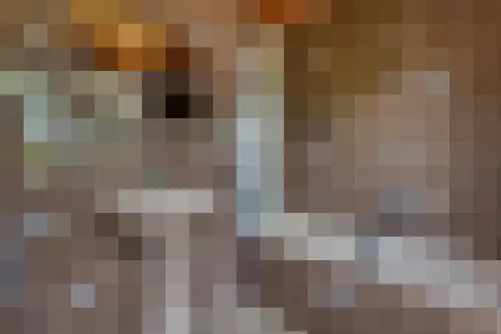 Valklaan 32 Maartensdijk thumbnail 20