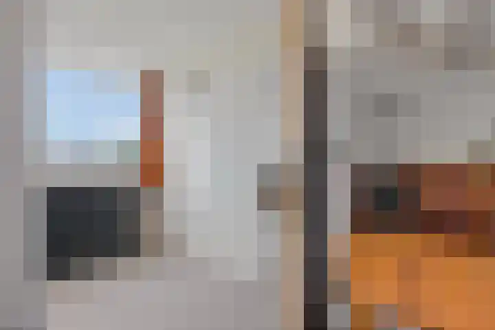 Valklaan 32 Maartensdijk thumbnail 24