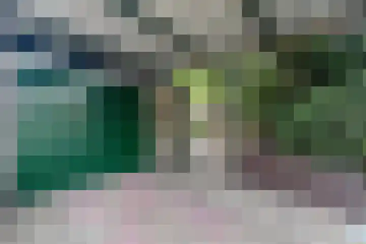 Valklaan 32 Maartensdijk thumbnail 26