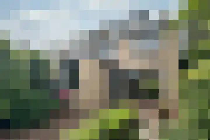 Valklaan 32 Maartensdijk thumbnail 28