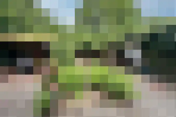 Valklaan 32 Maartensdijk thumbnail 32