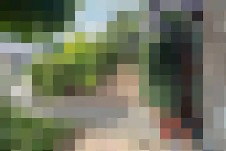 Valklaan 32 Maartensdijk thumbnail 4