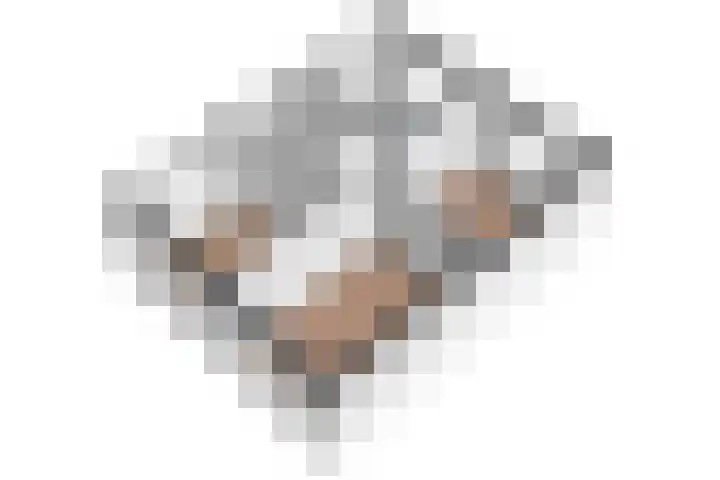 Valklaan 32 Maartensdijk thumbnail 40
