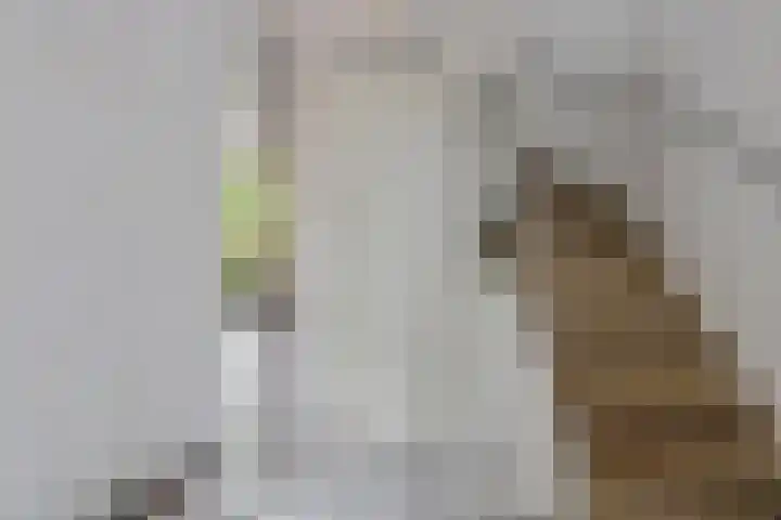 Valklaan 32 Maartensdijk thumbnail 5