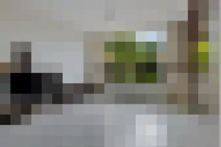 Valklaan 32 Maartensdijk thumbnail 6