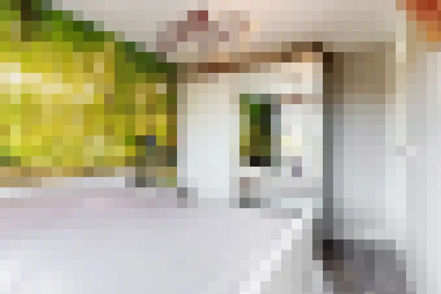 Valklaan 34 Maartensdijk thumbnail 26