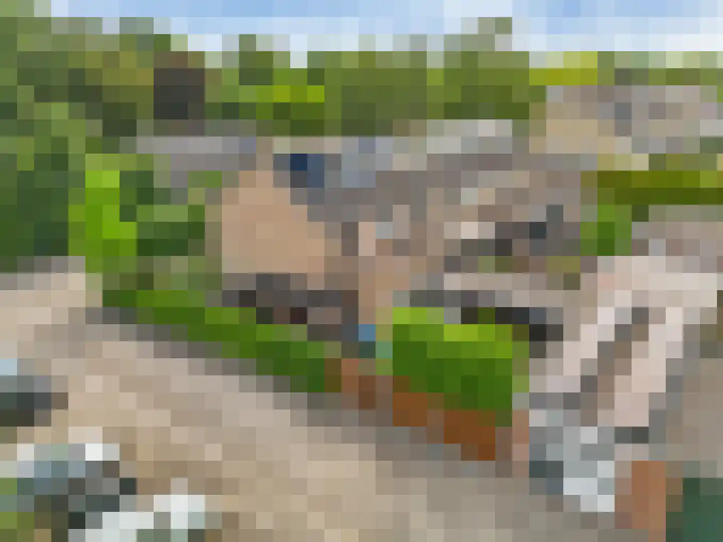 Valklaan 34 Maartensdijk thumbnail 58