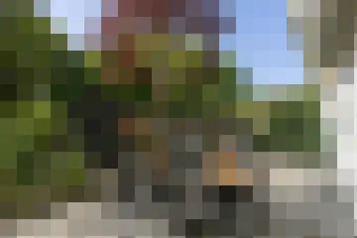 Valklaan 4 Bilthoven thumbnail 38