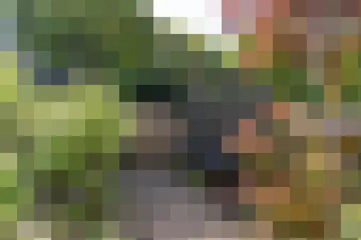 Valklaan 4 Bilthoven thumbnail 40