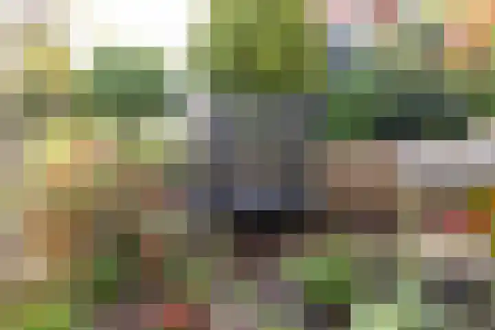 Valklaan 4 Bilthoven thumbnail 42