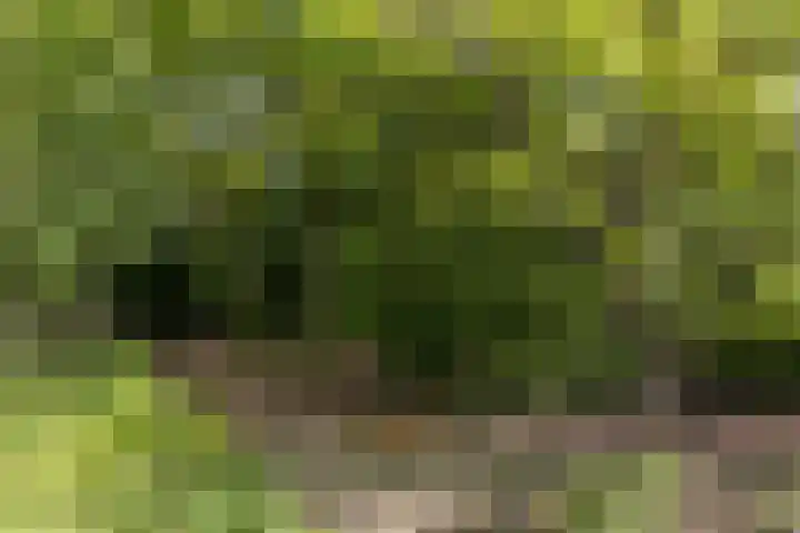 Valklaan 4 Bilthoven thumbnail 48
