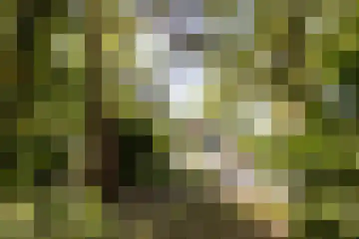 Valklaan 4 Bilthoven thumbnail 49