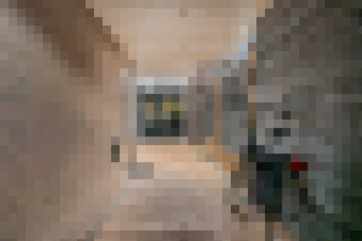 Valklaan 8 Maartensdijk thumbnail 34