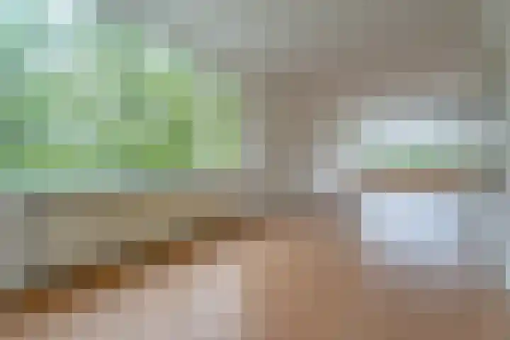 Valkreek 100 Rotterdam thumbnail 16