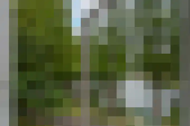 Valkreek 100 Rotterdam thumbnail 21
