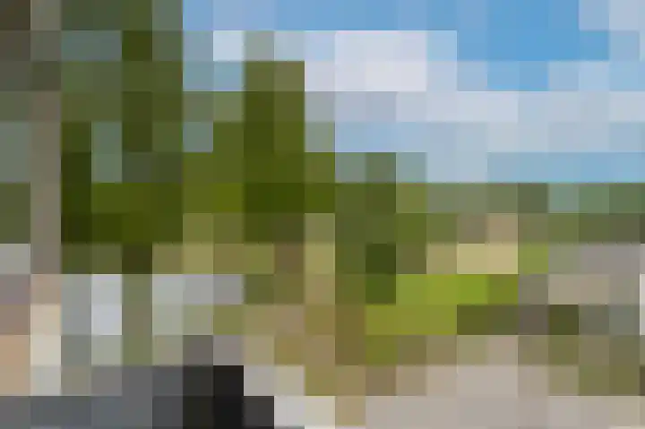 Valkreek 100 Rotterdam thumbnail 33