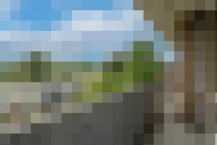 Valkreek 100 Rotterdam thumbnail 34