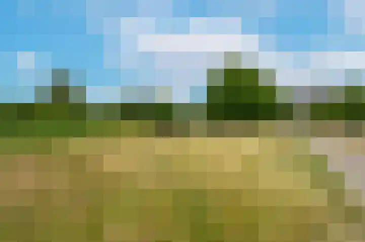 Valkreek 100 Rotterdam thumbnail 40
