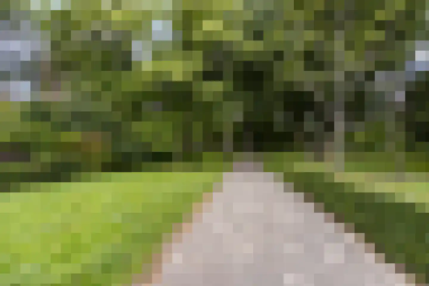 Valkreek 136 Rotterdam thumbnail 20