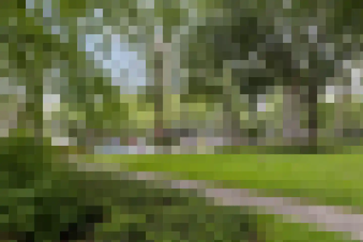 Valkreek 136 Rotterdam thumbnail 21