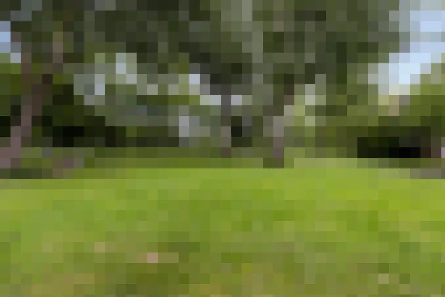 Valkreek 136 Rotterdam thumbnail 22