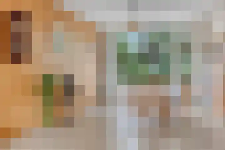 Valkreek 146 Rotterdam thumbnail 10