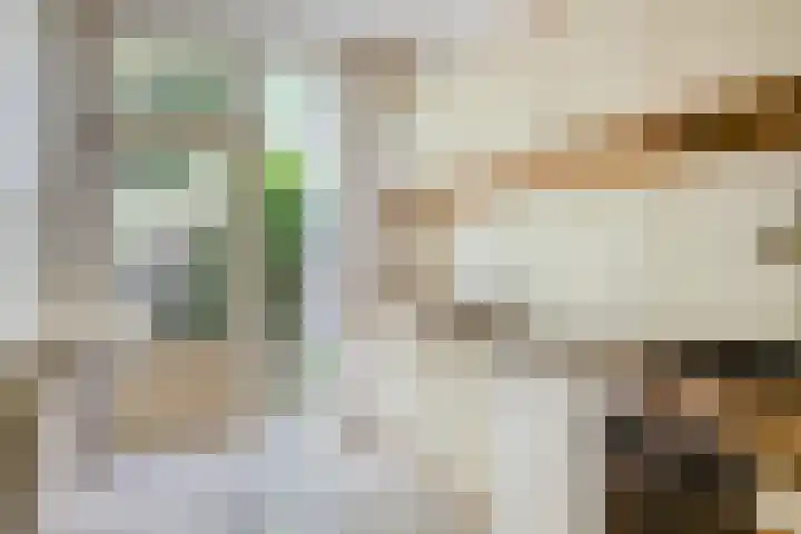 Valkreek 146 Rotterdam thumbnail 12
