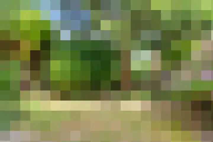 Valkreek 146 Rotterdam thumbnail 27