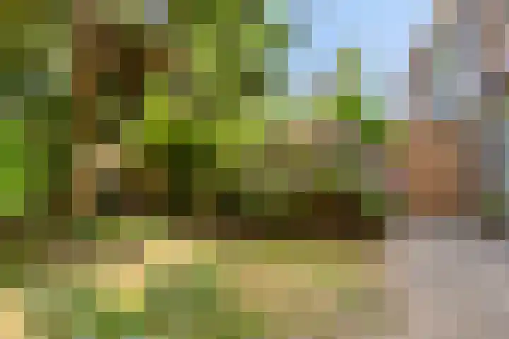 Valkreek 146 Rotterdam thumbnail 28
