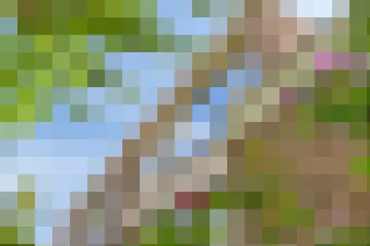 Valkreek 146 Rotterdam thumbnail 29