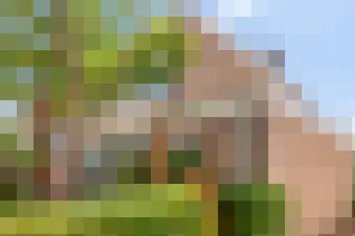 Valkreek 146 Rotterdam thumbnail 33