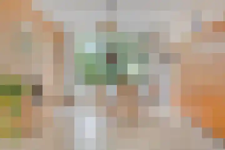 Valkreek 146 Rotterdam thumbnail 9